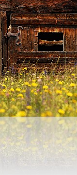 PA_005