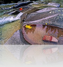 PA_019