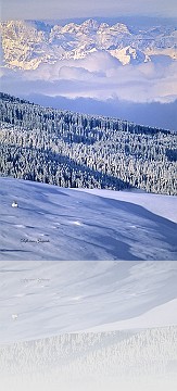 PA_022
