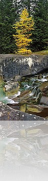 PA_025