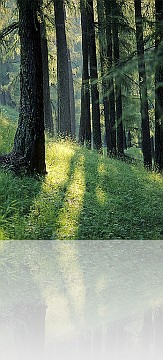 PA_026