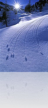 PA_028