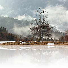 Port_04