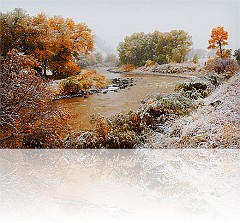 Port_39