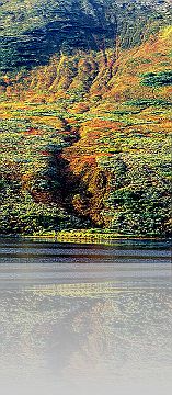 AK_095