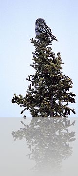 AK_A_055