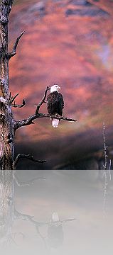 AK_A_075
