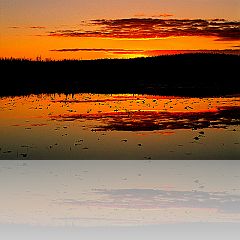AK_B_205