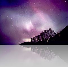 AK_B_242