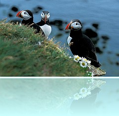 Islanda_25