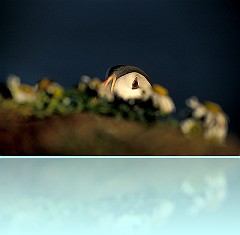 Islanda_29