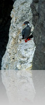 PATAGONIA09