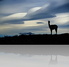 PATAGONIA18