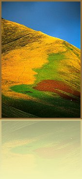 Sco_01