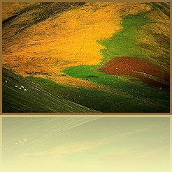 Sco_02