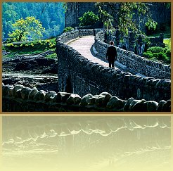 Sco_16