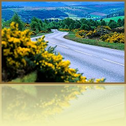 Sco_18