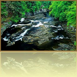 Sco_25