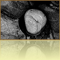 Sco_31