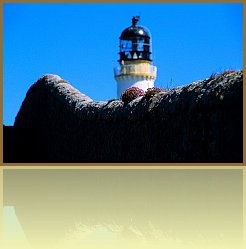 Sco_36