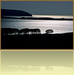 zSco_12