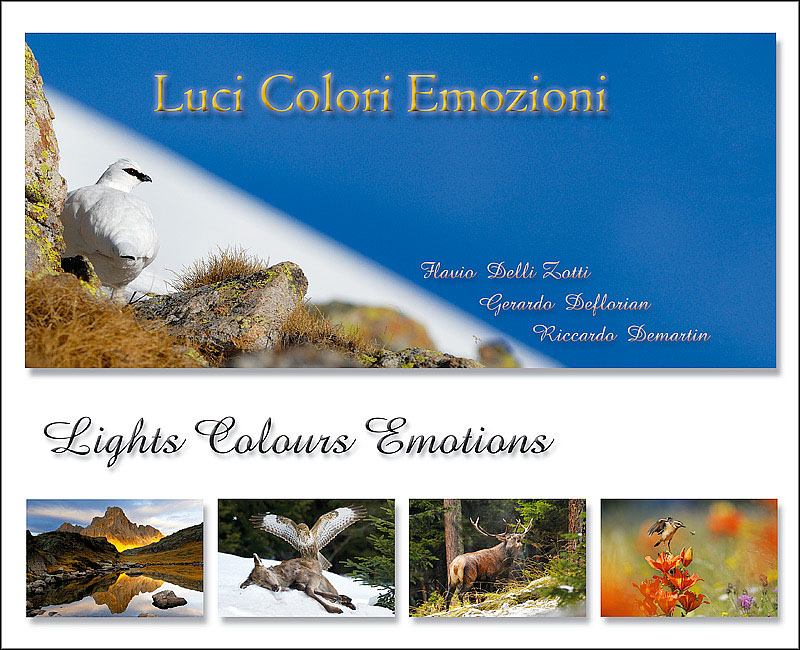 libro fotografico naturalistico - luci colori emozioni