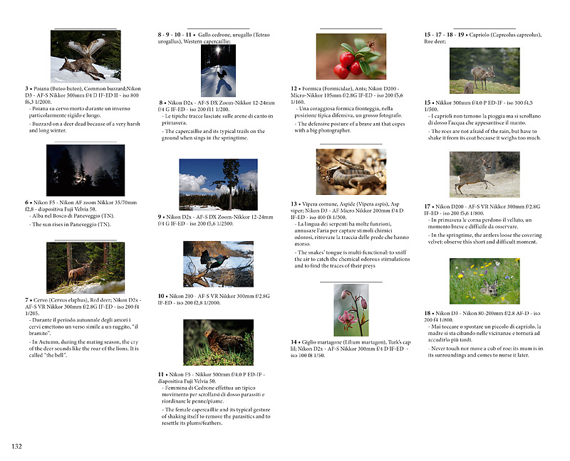 didsacalie e commenti sulle fotografie del libro naturalistico "Luci Colori Emozioni"
