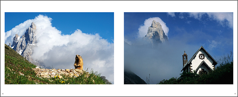 libro fotografico naturalistico di caccia fotografica