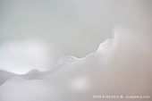 macrofotografia di petalo, particolare fiore, fotografia naturalistica