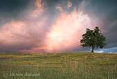 Paesaggio naturalistico segnalato dal forum della fotografia naturalistica